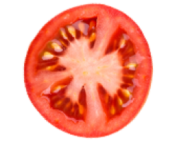 Tomatoe Tomatoe